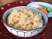 【定期便6ヶ月】令和5年産　特別栽培米コシヒカリ　玄米10kg（5kg×2袋）