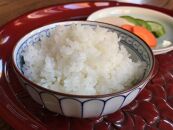 【定期便3ヶ月】令和5年産　特別栽培米コシヒカリ　白米10kg（5kg×2袋）