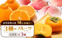 紀州和歌山産 旬にお届け！3種のフルーツセット（不知火・桃・ひらたね）【UT58】