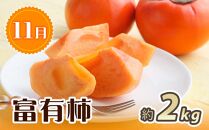 紀州和歌山産 旬にお届け！フルーツセット（不知火・桃・富有柿）【UT59】