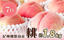 紀州和歌山産 旬にお届け！3種のフルーツセット（不知火・桃・ひらたね）【UT58】