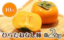 紀州和歌山産 旬にお届け！3種のフルーツセット（不知火・桃・ひらたね）【UT58】