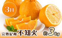 紀州和歌山産 旬にお届け！フルーツセット（不知火・桃・富有柿）【UT59】