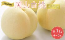 岡山県産 桃 岡山白桃 2025年 先行予約 ロイヤル 約1kg（4～6玉）もも モモ フルーツ 果物 ギフト