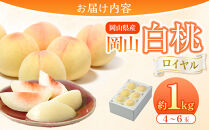 岡山県産&nbsp;桃&nbsp;岡山白桃&nbsp;2026年&nbsp;ロイヤル&nbsp;約1kg（4～6玉）【白桃&nbsp;桃&nbsp;もも&nbsp;果物&nbsp;フルーツ&nbsp;新鮮&nbsp;岡山県産&nbsp;おすすめ&nbsp;人気&nbsp;ギフト&nbsp;岡山県&nbsp;岡山市】