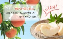 岡山県産 桃 岡山白桃 2025年 先行予約 エース 3玉×約200g 計600g Lサイズ もも モモ フルーツ 果物 ギフト