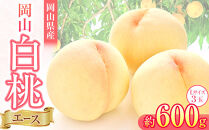 岡山県産&nbsp;桃&nbsp;岡山白桃&nbsp;2026年&nbsp;エース&nbsp;3玉×約200g&nbsp;計600g&nbsp;Lサイズ&nbsp;【白桃&nbsp;桃&nbsp;もも&nbsp;果物&nbsp;フルーツ&nbsp;新鮮&nbsp;岡山県産&nbsp;おすすめ&nbsp;人気&nbsp;ギフト&nbsp;岡山県&nbsp;岡山市】