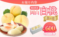 岡山県産&nbsp;桃&nbsp;岡山白桃&nbsp;2026年&nbsp;エース&nbsp;3玉×約200g&nbsp;計600g&nbsp;Lサイズ&nbsp;【白桃&nbsp;桃&nbsp;もも&nbsp;果物&nbsp;フルーツ&nbsp;新鮮&nbsp;岡山県産&nbsp;おすすめ&nbsp;人気&nbsp;ギフト&nbsp;岡山県&nbsp;岡山市】