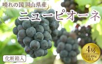 ぶどう 2025年先行予約 岡山県産 ニューピオーネ4房(1房480g以上)