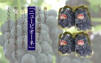 ぶどう 2025年先行予約 岡山県産 ニューピオーネ4房(1房480g以上)