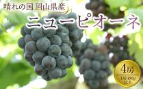 ぶどう&nbsp;2026年&nbsp;岡山県産&nbsp;ニューピオーネ4房(1房480g以上)