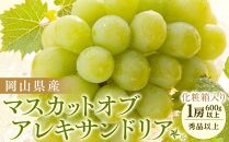 ぶどう&nbsp;2026年&nbsp;岡山県産&nbsp;マスカットオブアレキサンドリア1房(600g以上・秀品以上)&nbsp;化粧箱入り