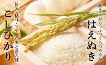 【2024年10月以降お届け】【2024年度米】中山町のお米の詰合せ2種セット 計15kg（5kg×3）