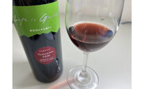 【時を愉しむ】南魚沼産熟成カベルネ2020＆最新スパークリング赤&nbsp;2本セット