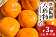 【2024年先行予約】新潟県産 八珍柿 約3kg 種なし柿 刀根早生《10月上旬～順次発送》