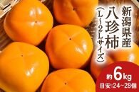 【2024年先行予約】新潟県産 八珍柿 約6kg 種なし柿 刀根早生《10月上旬～順次発送》