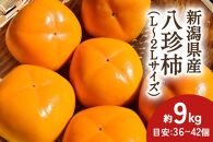 【2024年先行予約】新潟県産 八珍柿 約9kg 種なし柿 刀根早生《10月上旬～順次発送》
