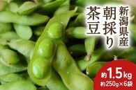 【2024年先行予約】新潟県産 朝採り 茶豆 約1.5kg《8月中旬～順次発送》
