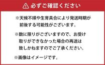 【先行予約】朝採り グリーンアスパラ L 1kg (2024年5月下旬発送予定) 【 アスパラ アスパラガス グリーンアスパラ 朝採り 直送 産地直送 旬 春 北海道 とれたて お取り寄せ 冷蔵配送 冷蔵 旭川市 送料無料 】_03901