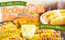 【26年先行予約】朝採り&nbsp;とうもろこし&nbsp;ゴールドラッシュ&nbsp;約4kg&nbsp;(L～2Lサイズ×10本)&nbsp;(2026年8月中旬発送予定)&nbsp;【&nbsp;人気&nbsp;北海道産&nbsp;糖度&nbsp;生&nbsp;野菜&nbsp;スイートコーン&nbsp;産地直送&nbsp;バーベキュー&nbsp;BBQ&nbsp;コーン&nbsp;旬&nbsp;お取り寄せ&nbsp;旭川市&nbsp;北海道&nbsp;】_03902