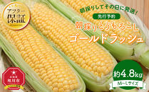 【26年先行予約】朝採り とうもろこし ゴールドラッシュ 約4.8kg (M～Lサイズ×15本)(2026年8月中旬発送予定) 【 人気 北海道産 糖度 生 野菜 スイートコーン 産地直送 バーベキュー BBQ コーン 旬 お取り寄せ 旭川市 北海道 】_03903