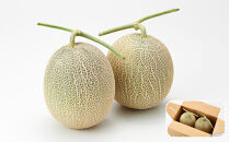 【26年発送先行予約】北海道産赤肉メロン約1.3kg×2玉&nbsp;(2026年7月中旬から発送開始予定)&nbsp;【&nbsp;果物&nbsp;くだもの&nbsp;フルーツ&nbsp;メロン&nbsp;赤肉&nbsp;赤肉メロン&nbsp;旬&nbsp;お取り寄せ&nbsp;甘い&nbsp;北海道産&nbsp;旭川市&nbsp;北海道&nbsp;】_03905