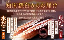 知床羅臼産冷凍煮だこ(2本)2.5kg 生産者 支援 応援
