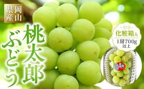 ぶどう&nbsp;2026年&nbsp;岡山県産&nbsp;桃太郎ぶどう1房(700g以上)&nbsp;化粧箱入り