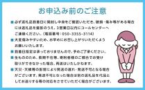 岡山市産 旬の白桃セレクション 約2kg くぼ農園