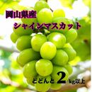 【大粒】ご家庭用　岡山県産シャインマスカット【甘い】たっぷり4房2kg以上