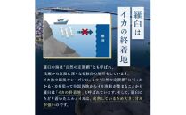 知床羅臼産するめいか一夜干し（1枚 250g 前後）8枚セット 生産者 支援 応援