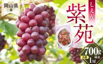 ぶどう&nbsp;2026年&nbsp;岡山県産&nbsp;紫苑&nbsp;1房(700ｇ以上)&nbsp;化粧箱入り