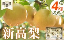 梨 2025年先行予約 岡山県産 新高梨 3-6玉(約4ｋｇ） 化粧箱入り