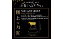 【百年の恵みおおいた和牛】A4等級以上300gと大分県産豚米の恵み200gのしゃぶしゃぶセット計500g