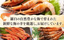 知床らうす&nbsp;3種えび食べ比べセット&nbsp;ダイオウキジンエビ&nbsp;ガサエビ&nbsp;北海しまえび&nbsp;ぼたんえび&nbsp;海老&nbsp;食べ比べ&nbsp;刺身&nbsp;海鮮丼&nbsp;羅臼町&nbsp;北海道&nbsp;生産者&nbsp;支援&nbsp;応援