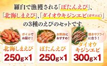 知床らうす&nbsp;3種えび食べ比べセット&nbsp;ダイオウキジンエビ&nbsp;ガサエビ&nbsp;北海しまえび&nbsp;ぼたんえび&nbsp;海老&nbsp;食べ比べ&nbsp;刺身&nbsp;海鮮丼&nbsp;羅臼町&nbsp;北海道&nbsp;生産者&nbsp;支援&nbsp;応援