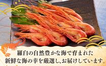 羅臼産北海しまえび(小)&nbsp;ボイル冷凍250g&nbsp;エビ&nbsp;海老&nbsp;北海シマエビ&nbsp;羅臼町&nbsp;北海道&nbsp;海産物&nbsp;魚介&nbsp;真空&nbsp;生産者&nbsp;支援&nbsp;応援