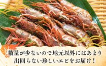 ダイオウキジンエビ(ガサエビ)&nbsp;300g&nbsp;えび&nbsp;エビ&nbsp;海老&nbsp;&nbsp;魚介&nbsp;魚介類&nbsp;北海道&nbsp;羅臼町&nbsp;海産物&nbsp;冷凍&nbsp;刺身&nbsp;フライ&nbsp;生産者&nbsp;支援&nbsp;応援