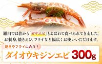 ダイオウキジンエビ(ガサエビ)&nbsp;300g&nbsp;えび&nbsp;エビ&nbsp;海老&nbsp;&nbsp;魚介&nbsp;魚介類&nbsp;北海道&nbsp;羅臼町&nbsp;海産物&nbsp;冷凍&nbsp;刺身&nbsp;フライ&nbsp;生産者&nbsp;支援&nbsp;応援