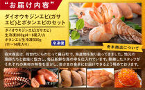 ダイオウキジンエビ(ガサエビ)とボタンエビのセット  えび エビ 海老 食べ比べ 魚介 魚介類 北海道 羅臼町 海産物 冷凍 刺身 フライ 生産者 支援 応援