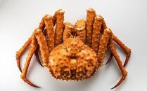 知床イバラがに&nbsp;姿(大大)&nbsp;いばらがに&nbsp;かに&nbsp;カニ&nbsp;蟹&nbsp;&nbsp;羅臼町&nbsp;北海道産&nbsp;海産物&nbsp;生産者&nbsp;支援&nbsp;応援