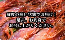 幻のぶどうえび（中・250g&nbsp;/7～8尾）&nbsp;エビ&nbsp;海老&nbsp;ブドウエビ&nbsp;羅臼町&nbsp;北海道&nbsp;魚介類&nbsp;魚介&nbsp;海産物&nbsp;冷凍&nbsp;生産者&nbsp;支援&nbsp;応援