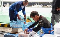 幻のぶどうえび（中・250g&nbsp;/7～8尾）&nbsp;エビ&nbsp;海老&nbsp;ブドウエビ&nbsp;羅臼町&nbsp;北海道&nbsp;魚介類&nbsp;魚介&nbsp;海産物&nbsp;冷凍&nbsp;生産者&nbsp;支援&nbsp;応援
