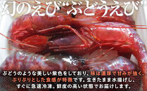 幻のぶどうえび（中・250g&nbsp;/7～8尾）&nbsp;エビ&nbsp;海老&nbsp;ブドウエビ&nbsp;羅臼町&nbsp;北海道&nbsp;魚介類&nbsp;魚介&nbsp;海産物&nbsp;冷凍&nbsp;生産者&nbsp;支援&nbsp;応援