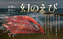 幻のぶどうえび（中・250g&nbsp;/7～8尾）&nbsp;エビ&nbsp;海老&nbsp;ブドウエビ&nbsp;羅臼町&nbsp;北海道&nbsp;魚介類&nbsp;魚介&nbsp;海産物&nbsp;冷凍&nbsp;生産者&nbsp;支援&nbsp;応援