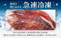 幻のぶどうえび（中・250g&nbsp;/7～8尾）&nbsp;エビ&nbsp;海老&nbsp;ブドウエビ&nbsp;羅臼町&nbsp;北海道&nbsp;魚介類&nbsp;魚介&nbsp;海産物&nbsp;冷凍&nbsp;生産者&nbsp;支援&nbsp;応援