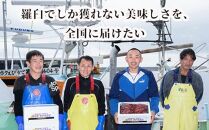 幻のぶどうえび（大・250g /4～6尾）エビ 海老 ブドウエビ 羅臼町 北海道 魚介類 魚介 海産物 冷凍 生産者 支援 応援