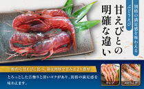 幻のぶどうえび（大・250g&nbsp;/4～6尾）エビ&nbsp;海老&nbsp;ブドウエビ&nbsp;羅臼町&nbsp;北海道&nbsp;魚介類&nbsp;魚介&nbsp;海産物&nbsp;冷凍&nbsp;生産者&nbsp;支援&nbsp;応援
