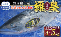 知床羅臼産&nbsp;鮭&nbsp;羅皇（らおう）&nbsp;1本そのまま　カットなし（内臓処理済）&nbsp;4～5kg&nbsp;生産者&nbsp;支援&nbsp;応援