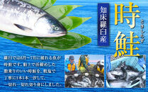 知床らうす ときしらずの切り身400g 生産者 支援 応援